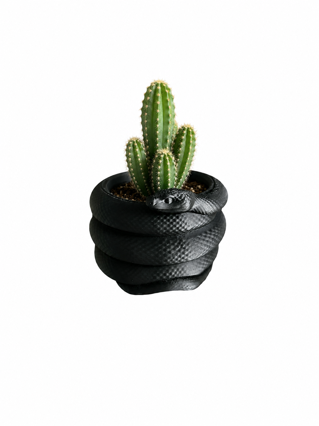 Snake Planter