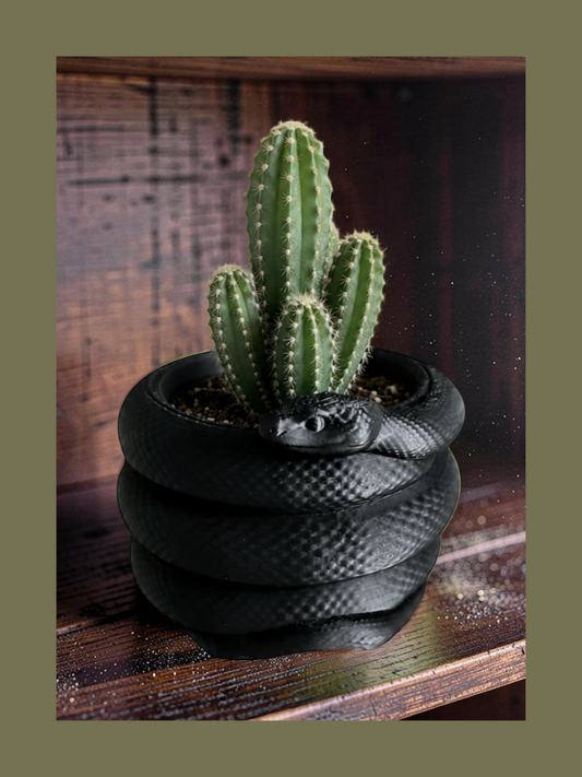 Snake Planter