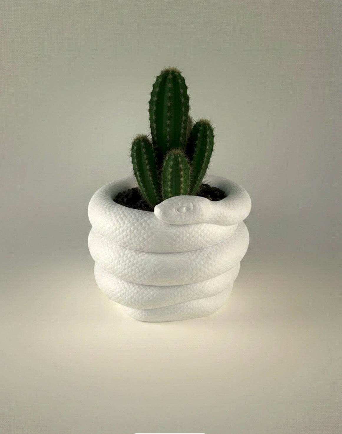 Snake Planter