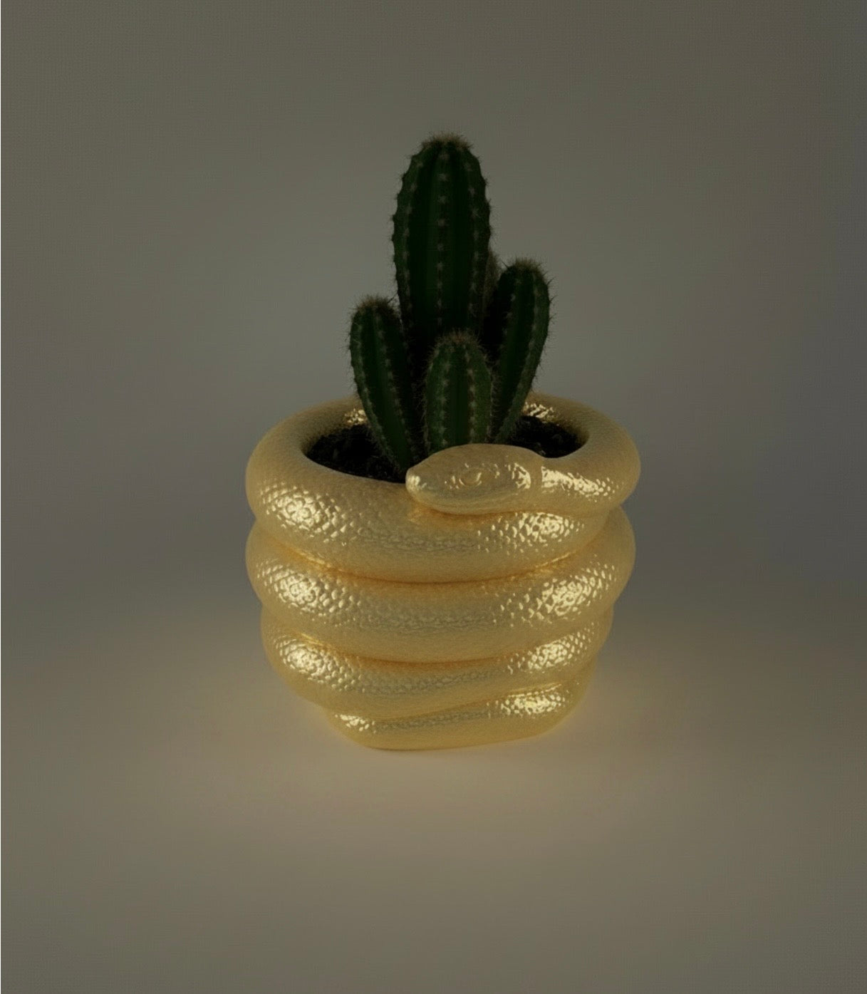 Snake Planter