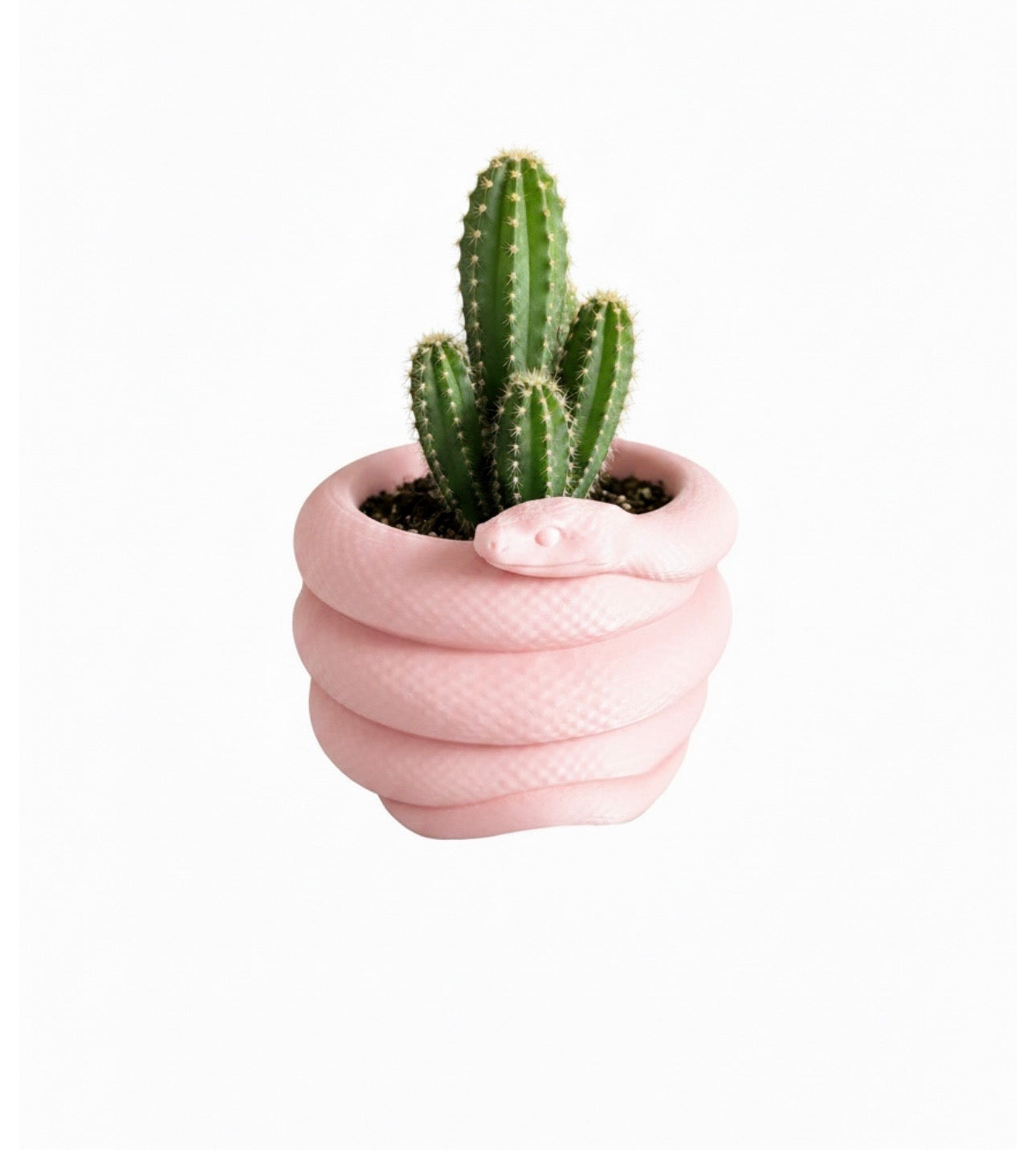 Snake Planter