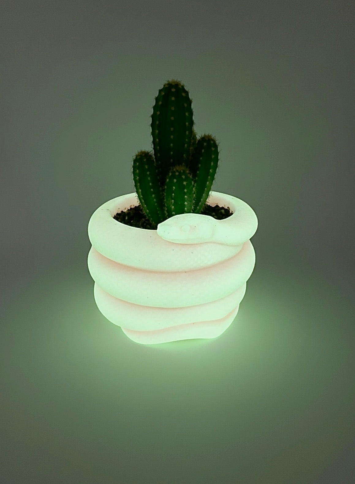 Snake Planter
